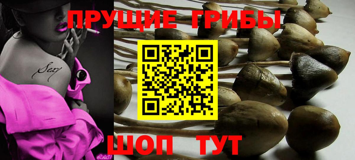Галлюциногенные грибы Magic Shrooms  Вход с VPN  Магадан 