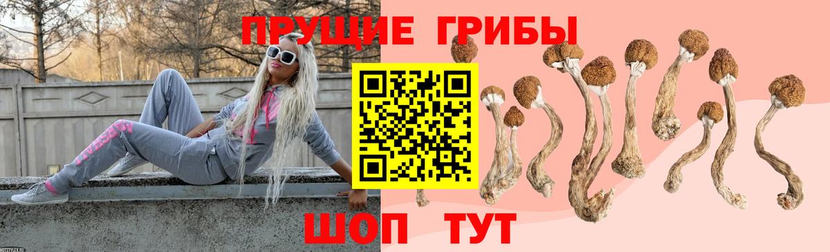 Псилоцибиновые грибы прущие грибы Магадан